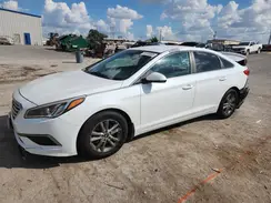 5NPE24AF6GH324271 2016 HYUNDAI SONATA