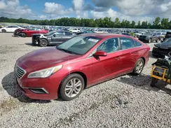 5NPE24AF6GH334041 2016 HYUNDAI SONATA