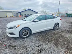 5NPE24AF6GH338011 2016 HYUNDAI SONATA