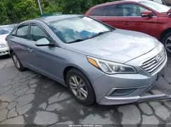 5NPE24AF6GH338705 2016 HYUNDAI SONATA