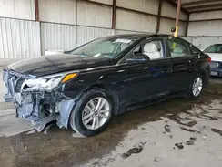 5NPE24AF6GH339675 2016 HYUNDAI SONATA