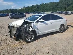 5NPE24AF6GH344438 2016 HYUNDAI SONATA