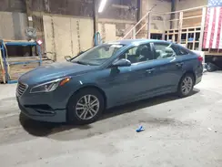 5NPE24AF6GH353446 2016 HYUNDAI SONATA