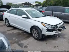 5NPE24AF6GH359893 2016 HYUNDAI SONATA