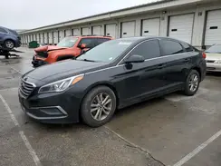 5NPE24AF6GH367847 2016 HYUNDAI SONATA