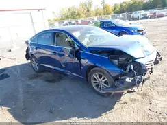 5NPE24AF6GH368979 2016 HYUNDAI SONATA