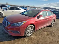 5NPE24AF6GH369825 2016 HYUNDAI SONATA