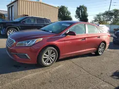 5NPE24AF6GH376063 2016 HYUNDAI SONATA