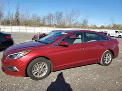 5NPE24AF6GH376869 2016 HYUNDAI SONATA