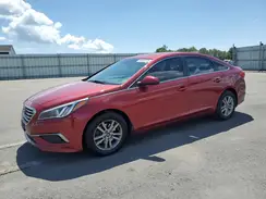 5NPE24AF6GH377844 2016 HYUNDAI SONATA