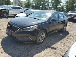 5NPE24AF6GH379593 2016 HYUNDAI SONATA