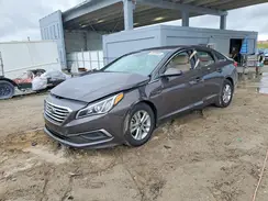 5NPE24AF6GH379836 2016 HYUNDAI SONATA