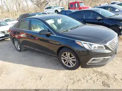 5NPE24AF6GH385488 2016 HYUNDAI SONATA