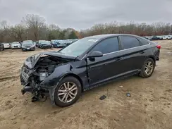5NPE24AF6GH388245 2016 HYUNDAI SONATA