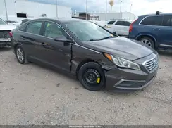5NPE24AF6GH389993 2016 HYUNDAI SONATA