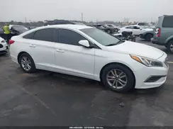 5NPE24AF6GH404833 2016 HYUNDAI SONATA