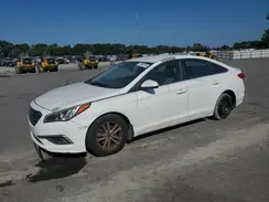5NPE24AF6GH407814 2016 HYUNDAI SONATA