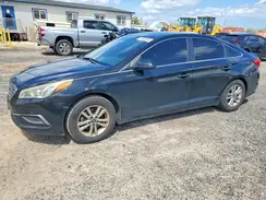 5NPE24AF6GH408803 2016 HYUNDAI SONATA