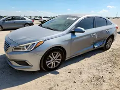 5NPE24AF6GH416979 2016 HYUNDAI SONATA