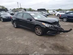 5NPE24AF6GH418117 2016 HYUNDAI SONATA