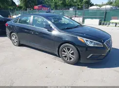 5NPE24AF6GH422877 2016 HYUNDAI SONATA