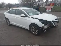 5NPE24AF6GH423527 2016 HYUNDAI SONATA