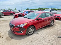 5NPE24AF6GH428260 2016 HYUNDAI SONATA