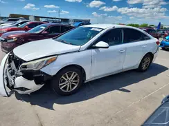 5NPE24AF6HH445612 2017 HYUNDAI SONATA