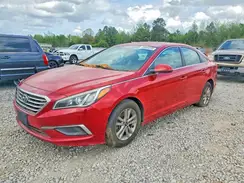 5NPE24AF6HH446498 2017 HYUNDAI SONATA