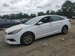 5NPE24AF6HH464161 2017 HYUNDAI SONATA