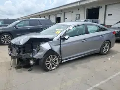 5NPE24AF6HH465455 2017 HYUNDAI SONATA