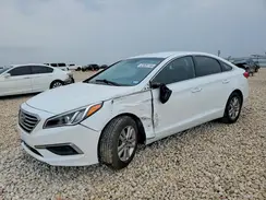 5NPE24AF6HH466931 2017 HYUNDAI SONATA