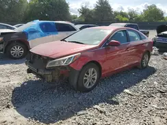 5NPE24AF6HH472633 2017 HYUNDAI SONATA