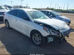 5NPE24AF6HH498150 2017 HYUNDAI SONATA