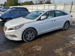 5NPE24AF6HH499900 2017 HYUNDAI SONATA