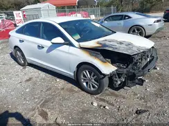 5NPE24AF6HH499914 2017 HYUNDAI SONATA