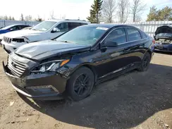 5NPE24AF6HH501175 2017 HYUNDAI SONATA