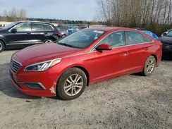 5NPE24AF6HH501242 2017 HYUNDAI SONATA