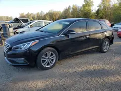 5NPE24AF6HH501886 2017 HYUNDAI SONATA