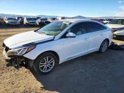 5NPE24AF6HH505081 2017 HYUNDAI SONATA