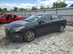 5NPE24AF6HH506926 2017 HYUNDAI SONATA