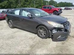 5NPE24AF6HH516470 2017 HYUNDAI SONATA