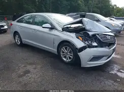 5NPE24AF6HH520356 2017 HYUNDAI SONATA