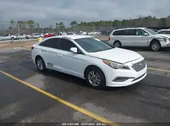 5NPE24AF6HH520468 2017 HYUNDAI SONATA