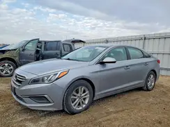 5NPE24AF6HH529591 2017 HYUNDAI SONATA