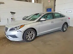 5NPE24AF6HH531194 2017 HYUNDAI SONATA