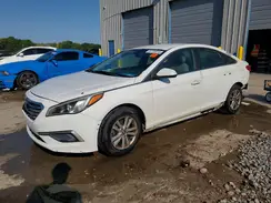 5NPE24AF6HH532071 2017 HYUNDAI SONATA