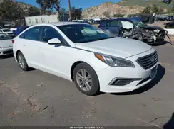 5NPE24AF6HH533835 2017 HYUNDAI SONATA