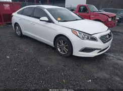 5NPE24AF6HH537688 2017 HYUNDAI SONATA