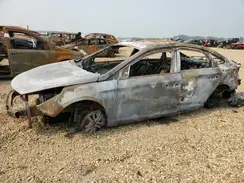 5NPE24AF6HH540798 2017 HYUNDAI SONATA